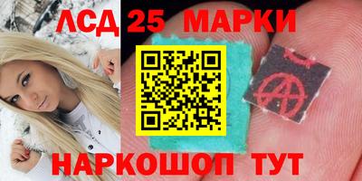 прущие крисы Шелехов