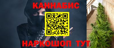 прущие крисы Шелехов