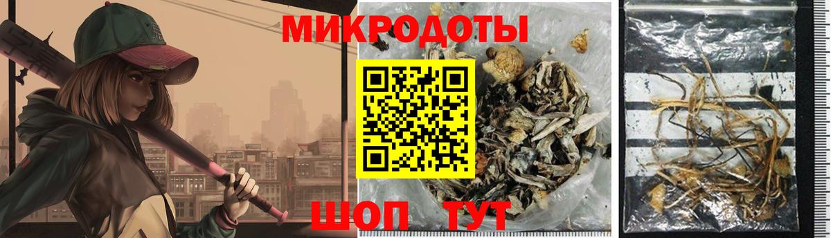 Жуковский  Галлюциногенные грибы мухоморы  Вход с VPN 
